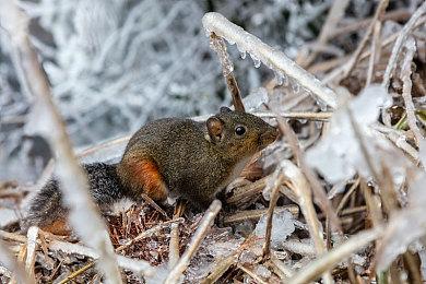 《逃离塔科夫：竞技场》总监：这是一部“中庸之作”
